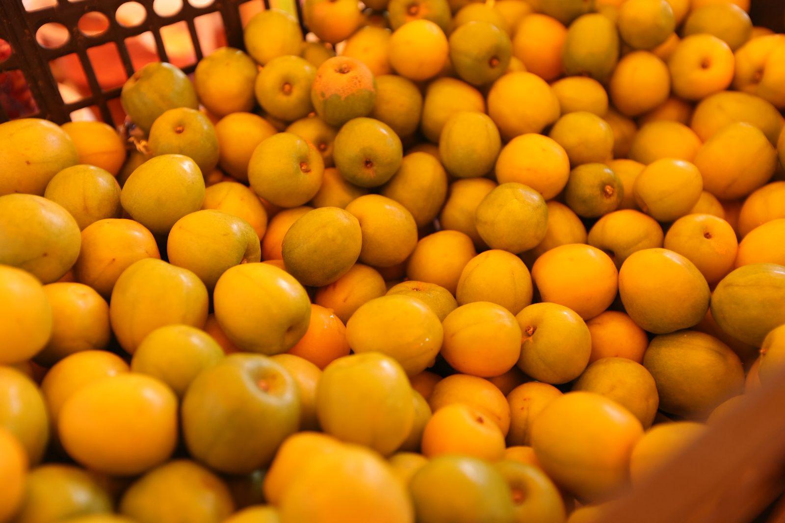 CIRUELAS CONCORDIA