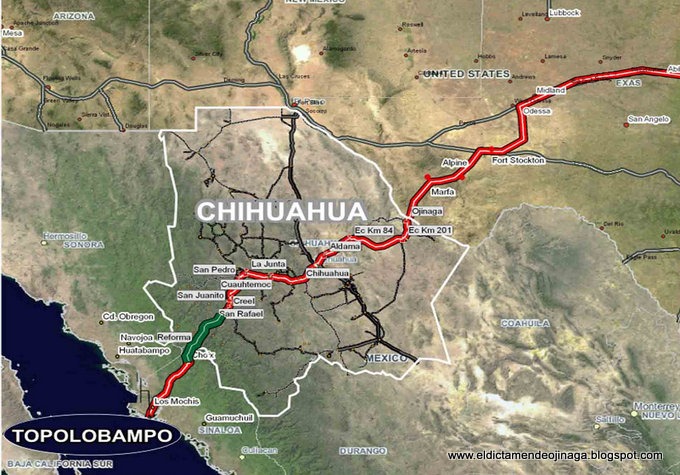 Topo Chihuahu7a
