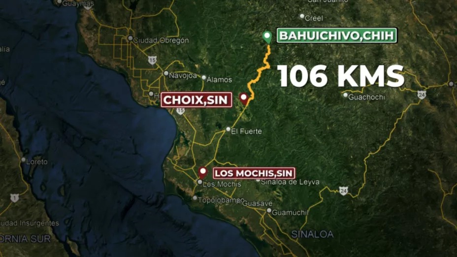 Topo chihuahua